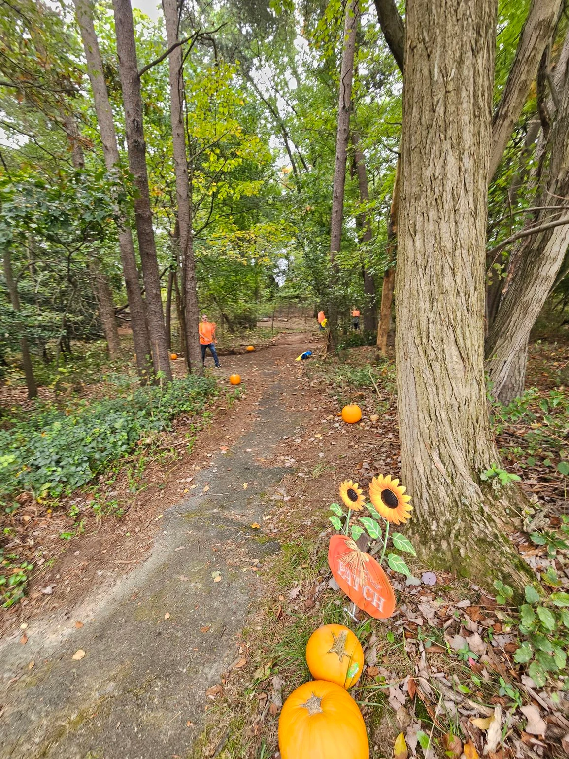 a7dc39_260d10be5fe3410187db8845c57edd65_mv2