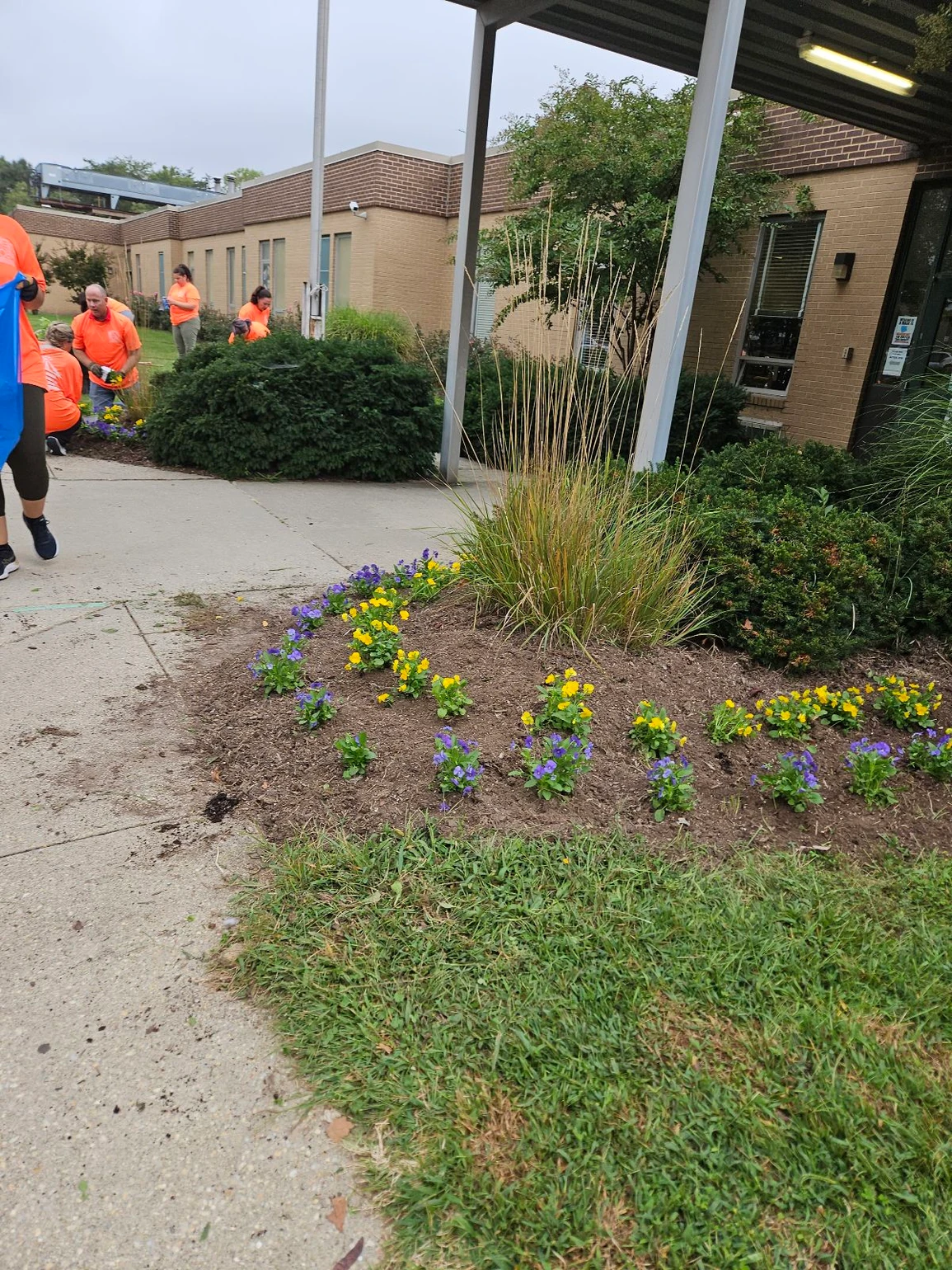 a7dc39_4b3b1e2d03e846dcb5e8c44c3902f226_mv2